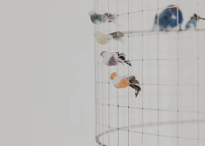 Gruene Haus - Boutique Ecofriendly 公寓式酒店